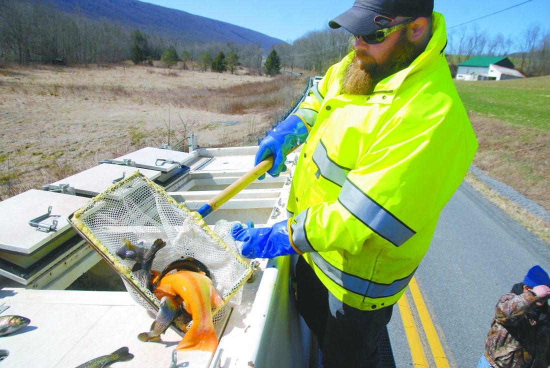 Stocking season News, Sports, Jobs The Sentinel